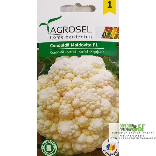 Карфиол Сноубол Карфиол Сноубол