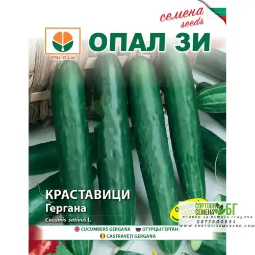 Краставици Гергана