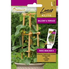 Саксийни Корнишони F1 Patio Snacker H