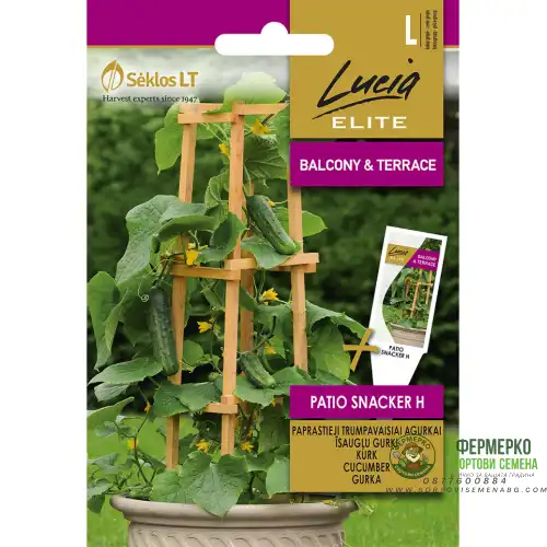 Саксийни Корнишони F1 / Patio Snacker H