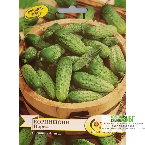 Корнишони Париж / Cucumis sativus Корнишони Париж / Cucumis sativus