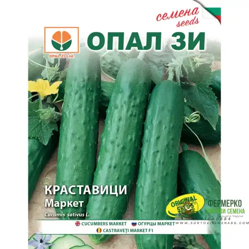 Краставици Маркет
