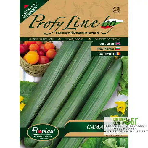 Краставици Саманта F1 - НОВ СОРТ Краставици Саманта F1 - НОВ СОРТ