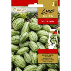 Мексиканска кисела краставичка Melothria scabra naudin