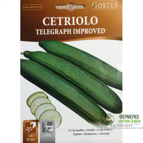 Краставици Телеграф Подобрени / Cetriolo Telegraph Improved