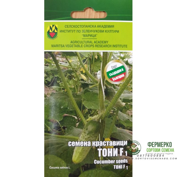 Краставици Тони F1 ИЗК Марица