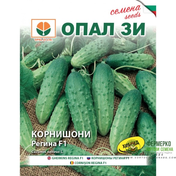 Корнишони Регина F1