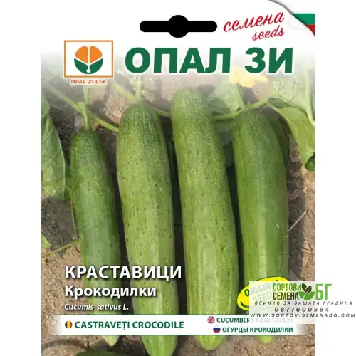Краставици Крокодилки