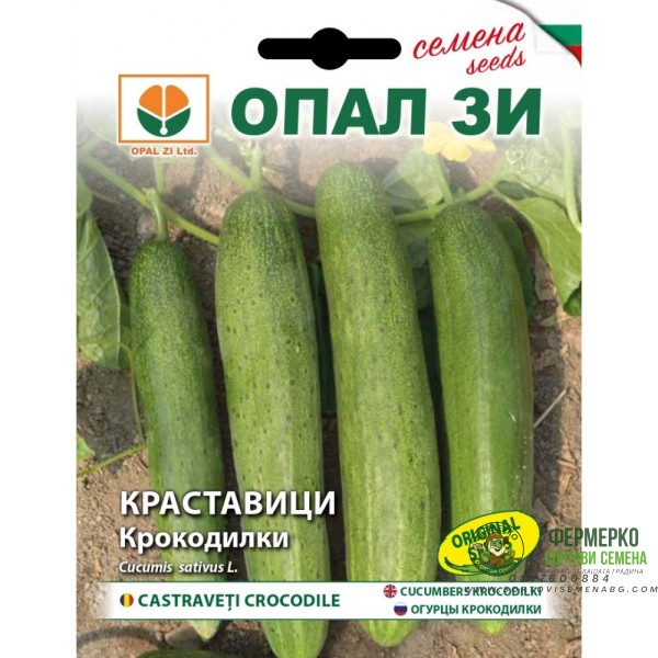 Краставици Крокодилки