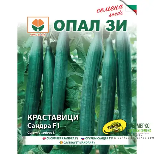 Краставици Сандра F1