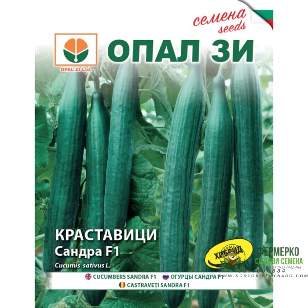 Краставици Сандра F1