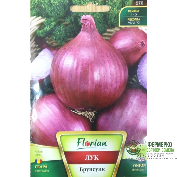 Лук Брунсуик