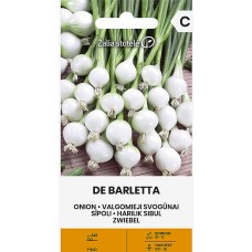 Лук Де Барлета Allium cepa L De Barletta