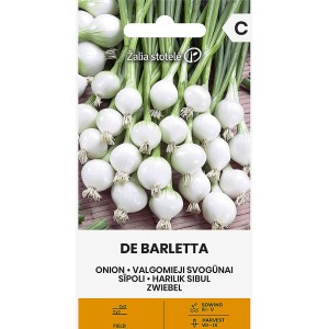 Лук Де Барлета Allium cepa L De Barletta