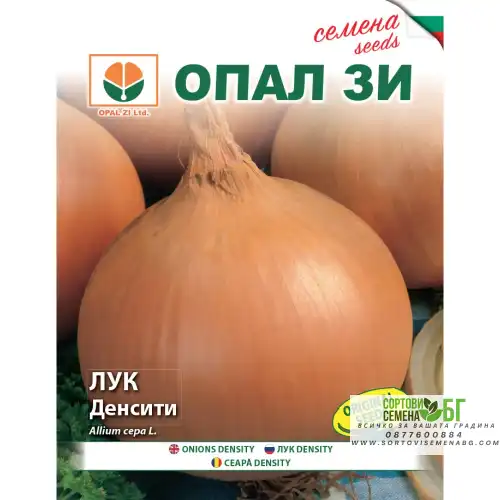Лук Денсити (тип Испанска каба) Лук Денсити (тип Испанска каба)
