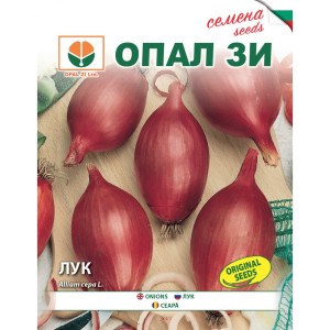Лук Роса лунга