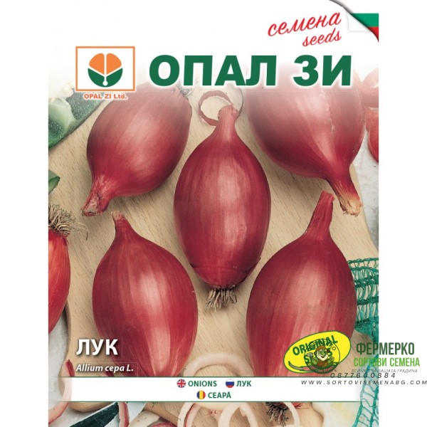 Лук Роса лунга