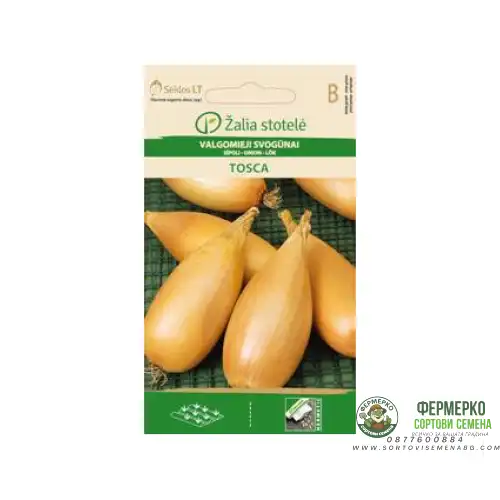 Лук Тоска / Tosca