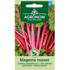 Манголд маджента сънсет Mageneta sunset