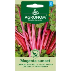 Манголд маджента сънсет Mageneta sunset