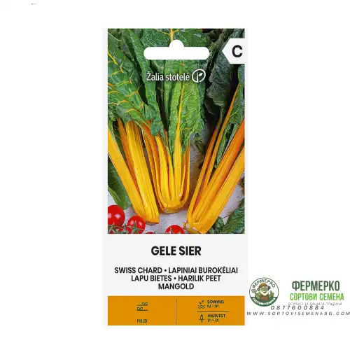 Манголд оранжев Геле Сиер / Gele Sier