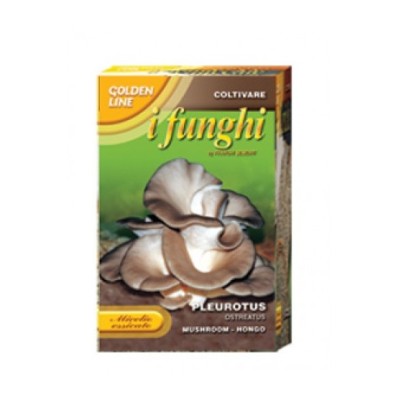 Мицел за Кладница (Pleurotus ostreatus)