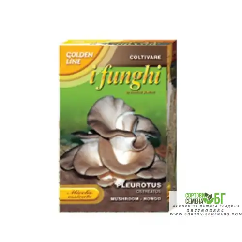 Мицел за Кладница (Pleurotus ostreatus) Мицел за Кладница (Pleurotus ostreatus)