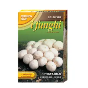 Мицел за печурки