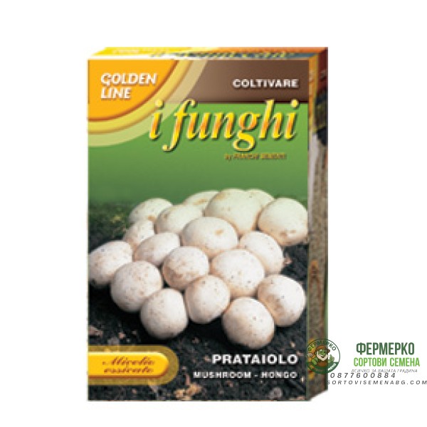 Мицел за печурки