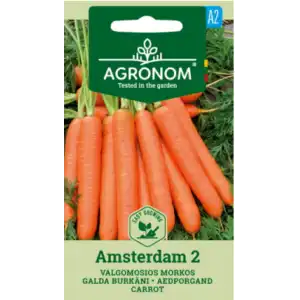 Моркови Aмстердам 2 / Daucus carota L.