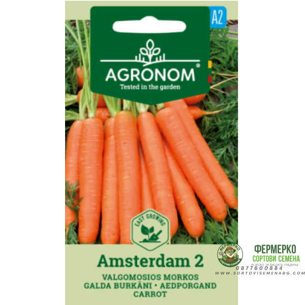 Моркови Aмстердам 2 Daucus carota L