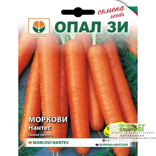 Моркови Нантес Моркови Нантес