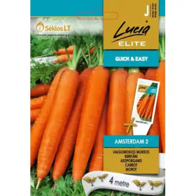 Моркови на Лента сорт Амстердам 2 / Amsterdam