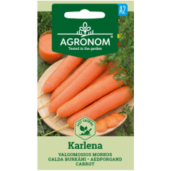 Моркови Карлена Daucus carota L.