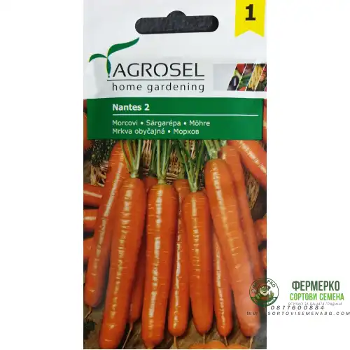 Моркови Нантес
