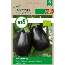 Био семена за Патладжан Блек Бюти