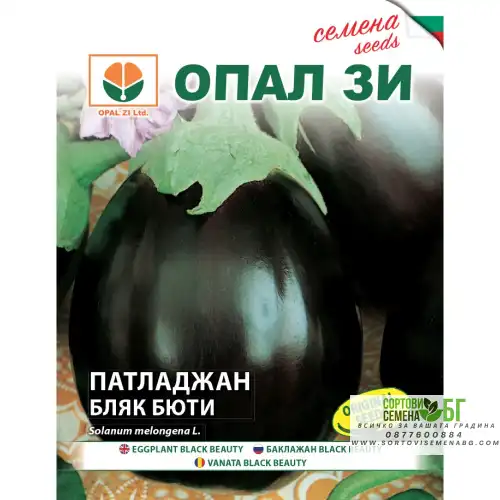 Патладжан Бляк Бюти Патладжан Бляк Бюти