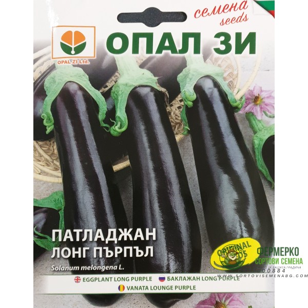 Патладжан Лонг Пърпъл