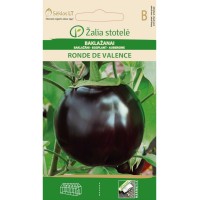 Патладжан Ронде Ди Валенсе /  Solanum melongena L