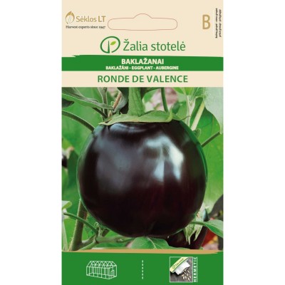 Патладжан Ронде Ди Валенсе /  Solanum melongena L