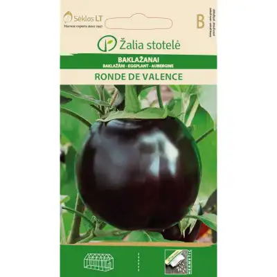 Патладжан Ронде Ди Валенсе /  Solanum melongena L