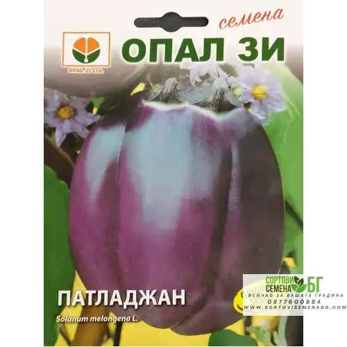 Патладжан Виолет ди Флоренс Патладжан Виолет ди Флоренс