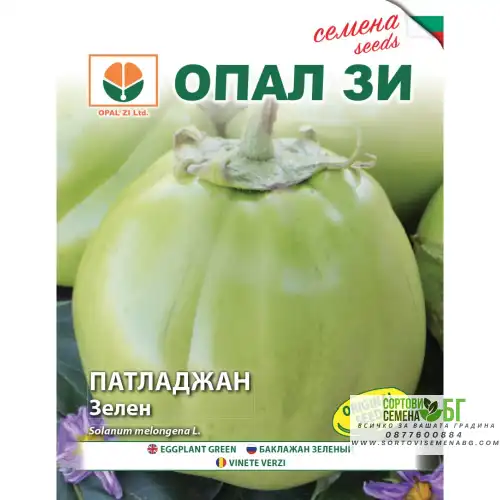 Патладжан Зелен сорт Успех