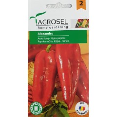 Пипер Александру Alexandru