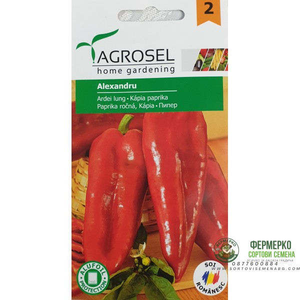 Пипер Александру Alexandru