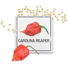 Семена Каролина Рийпър Carolina Reaper - най-лютата чушка в света!