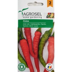 Пипер Пинтеа Pintea