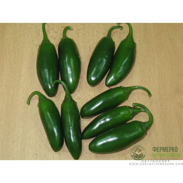 Чушлета Фораджидо (тип Халапеньо)