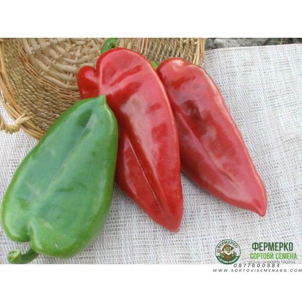 Пипер хисарска капия