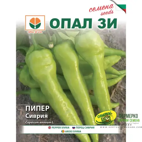 Пипер Сиврия